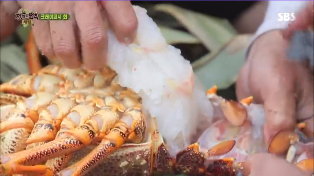 SBS '정글의 법칙' 방송화면