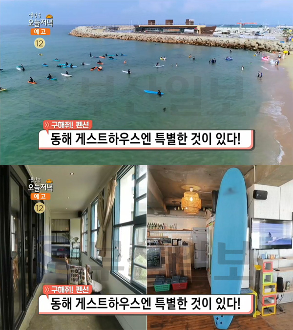 '생방송 오늘 저녁' 동해시, 분교 게스트하우스 '비천을담다'-서핑 게스트하우스 '솔게스트하우스 동해서핑점'…구해줘펜션