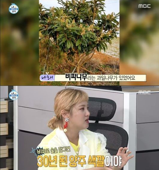 사진=MBC '나혼자산다' 캡처