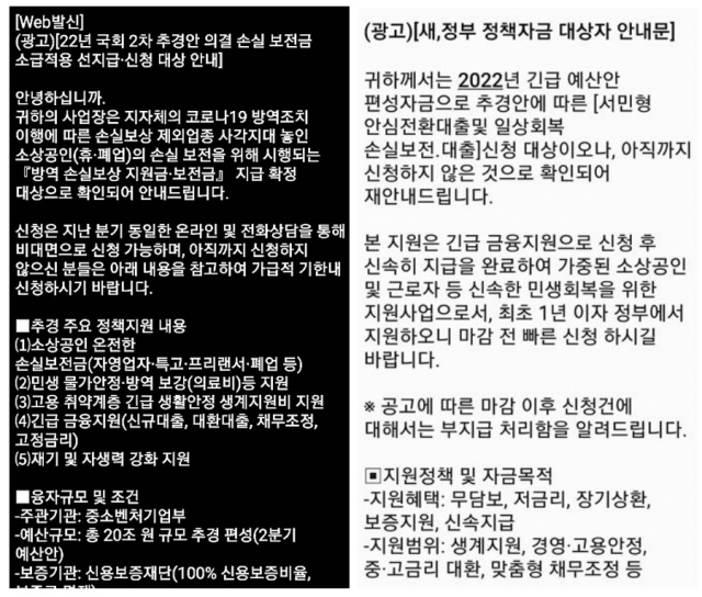 손실보전금 지급 등을 미끼로 한 보이스피싱 유도 문자. 정부 부처의 이름과 관련 정책 명칭 등이 그럴듯하게 기재돼 있어, 공공기관이 공식적으로 발송한 문자처럼 보인다. 독자 제공