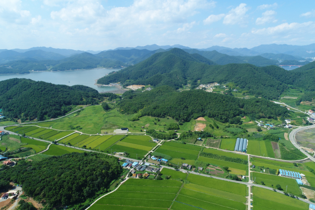 해상왕국 소가야의 위상을 가장 잘 보여주는 것으로 평가받는 고성군 내산리고분군. 부산일보DB