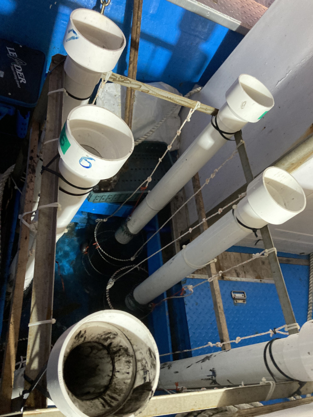 개인별로 구분한 갑오징어 물칸.