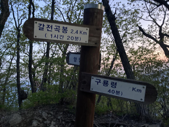 동이 트기 시작한다. 오전 5시를 조금 넘긴 시간이다.