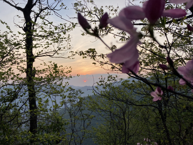 우측으로 한참을 돌아 보니 해가 뜨고 있었다.