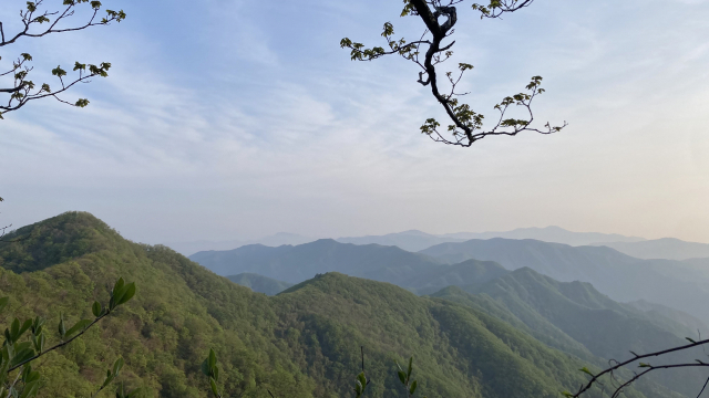 아 저기가 설악. 구룡령에서 조침령으로 걷다가 바라본 백두대간 능선. 가장 멀리 오른쪽 우뚝 솟은 봉우리가 대청봉이다. 왼쪽 봉우리는 점봉산.