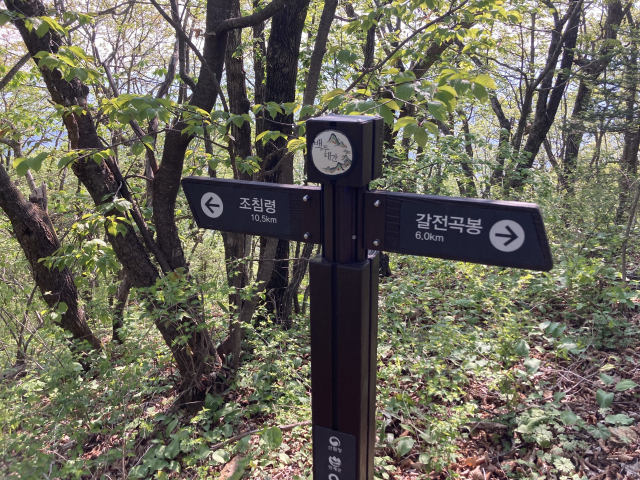 조침령과 갈전곡봉이 기점인 이정표.