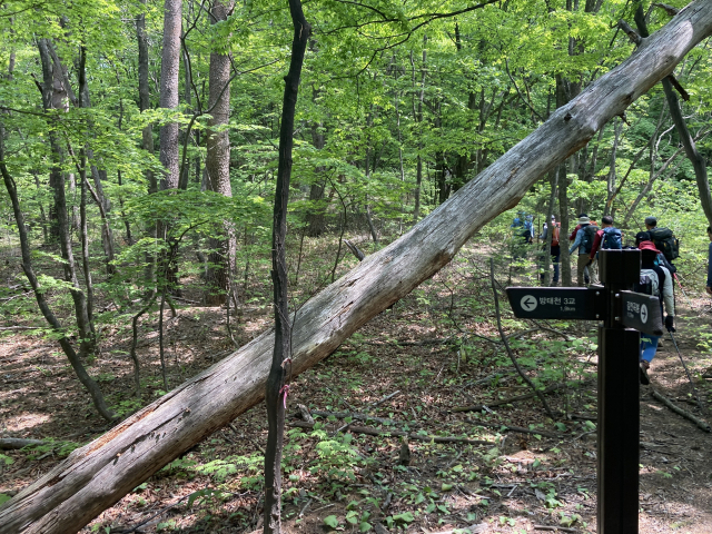 방태천3교 갈림길 이정표.