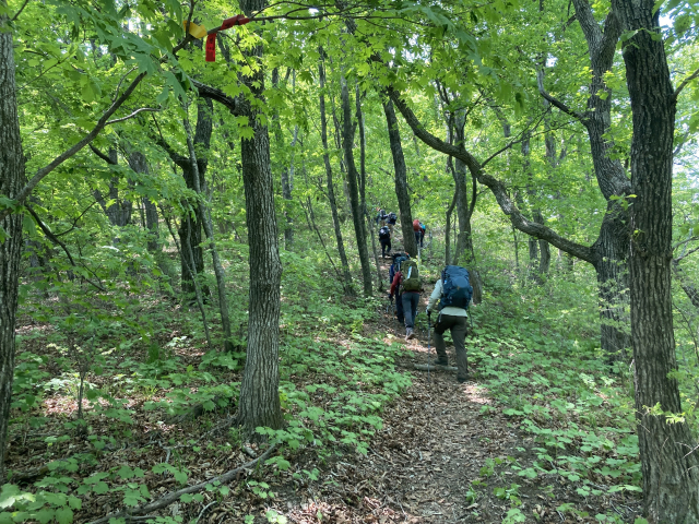 조침령으로 가는 막바지 오름길.