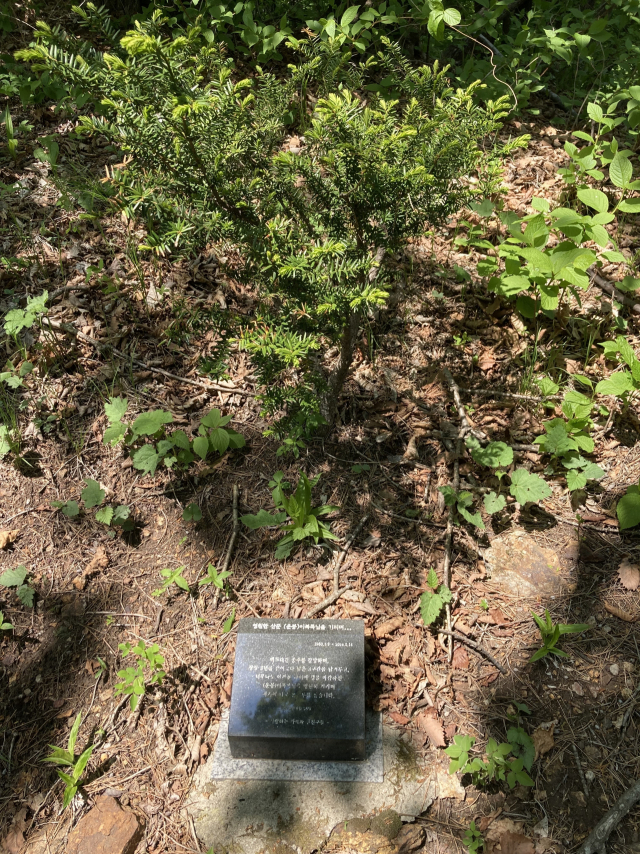 백두대간 산행 중 돌아가신 분을 기리는 작은 표지석.
