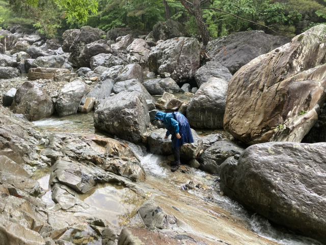 신불산자연휴양림 하단 계곡에 도착했다. 산행을 마무리한다.