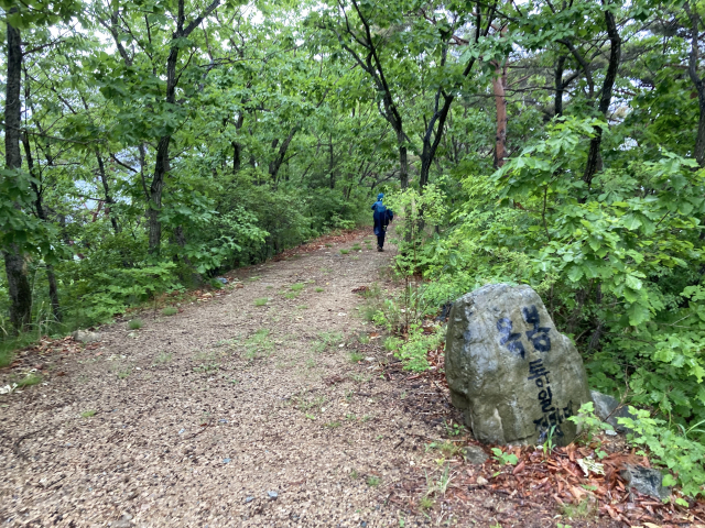 전망대로 가는 능선 임도. 여기서 파래소폭포로 하산해도 된다.
