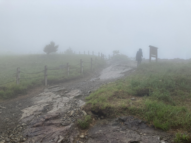 운무 가득한 간월산 오르는 길.