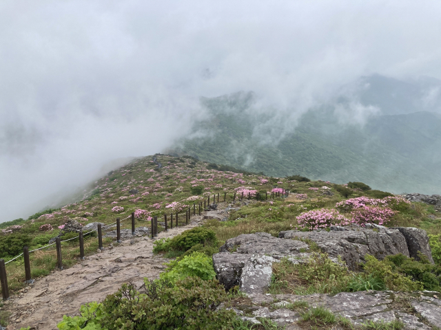 신불산을 오르다 뒤돌아 보니 구름이 신불평원을 넘고 있다.