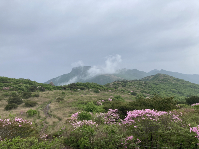 신불평원 일대는 꽃대궐.