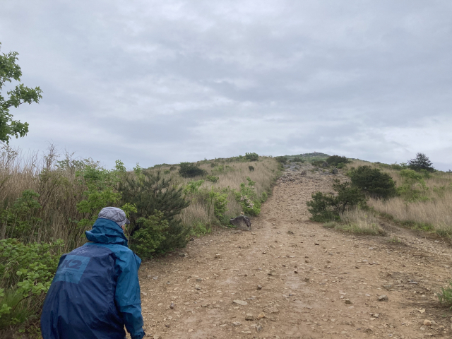 방화선을 따라 영축산으로 간다.