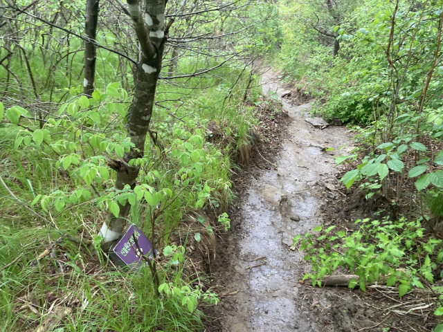 자연휴양림에서 올라오는 길과 만난다.