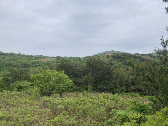 개활지가 나온다. 단조늪 일대다.