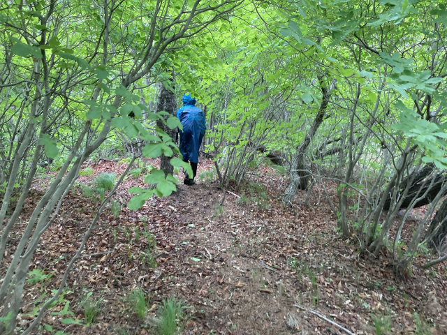 초반엔 된비알이지만, 백발능선에 올라서면 길이 좋다.