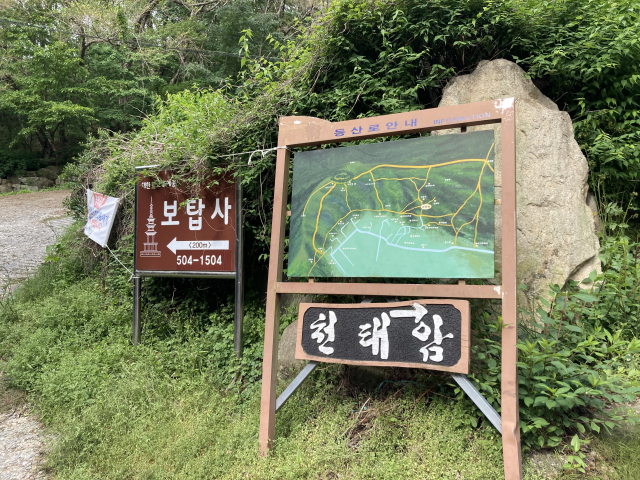 좌측 보탑사 입구에서 산길로 접어든다.