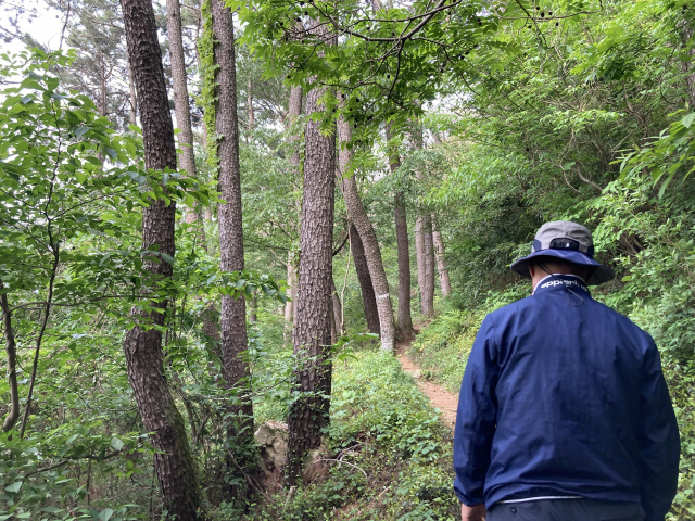 작은 오솔길을 따라 왼쪽으로 완만히 돌아서 오른다.