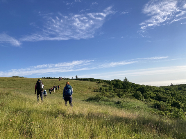 초원은 계속 이어진다.