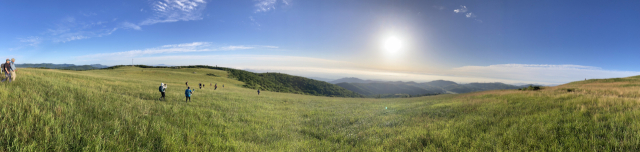 풀파도 넘실거리는 광활한 초지.