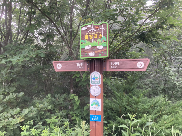대관령 목장코스 이정표.
