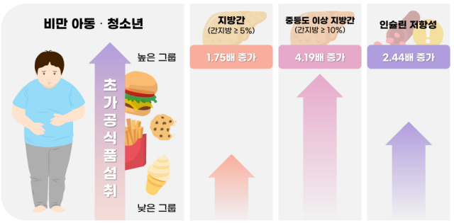 비만 아동·청소년의 초가공식품 섭취 수준에 따른 대사 이상 유병 위험. 질병관리청 제공