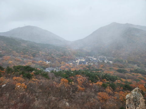 부산 금정산에 20분가량 첫눈…“부산 공식 첫눈 기록은 아냐”