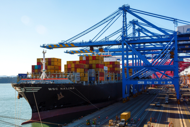 부산항 신항에서 하역작업을 하고 있는 MSC 컨테이너선. MSC는 부산항에서만 지난해 400만 TEU를 처리했다. 부산일보DB