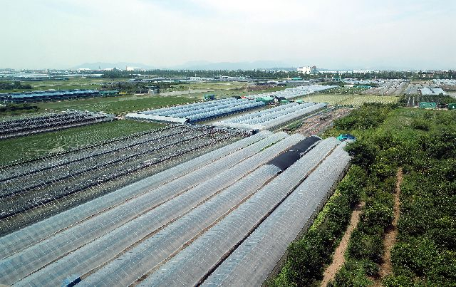 부산 강서구 대저동에 추진 중인 '부산 연구개발특구(첨단복합지구)' 예정지 일대 모습. 부산일보DB