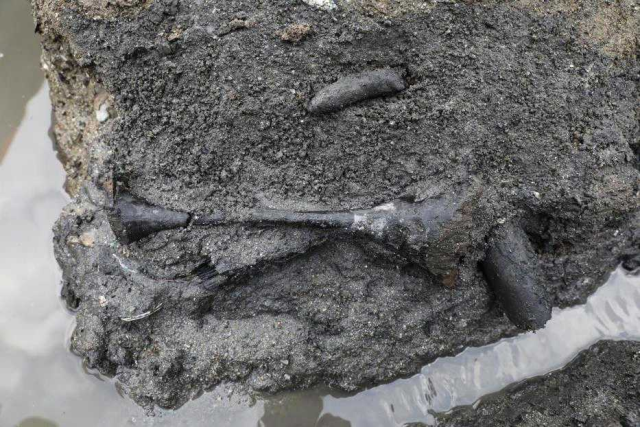 김해 봉황동 유적 출토 옻칠 두형 그릇(桼豆) 출토 모습. 국립가야문화유산연구소 제공