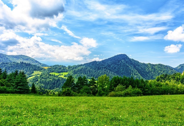 정부가 농촌 지역의 정주 여건을 개선하기 위해 일반인도 농림지역에 단독주택을 건축할 수 있게 한다. 사진은 이미지 사진. 이미지투데이