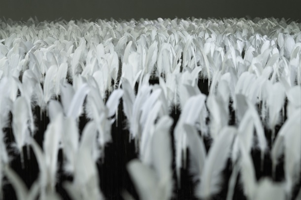 이연숙의 '참을 수 없는 존재의 가벼움'(2025) 가변설치. 경남도립미술관 제공