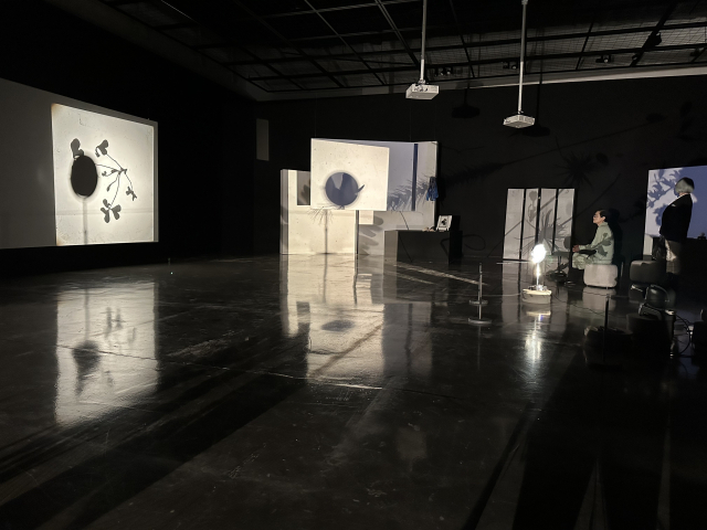 임고은 작가의 '그림자-숲'이 전시, 상영되고 있다. 김은영 기자