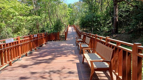 부산시가 부산 남구 이기대예술공원에 조성한 480m 길이 해송숲 데크길. 부산시 제공