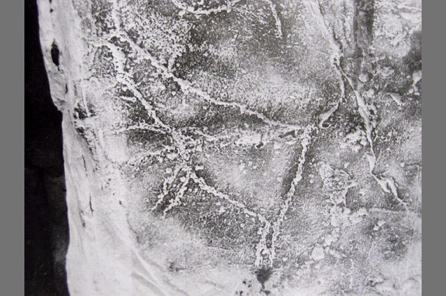 반구대 암각화 유적에 새겨진 사슴 문양. 동삼동패총에서 나온 사슴선각문토기의 사슴 그림과 양식이 동일하다. 이는 신석기시대 부산과 울산에 거주했던 신석기인들이 문화와 생활양식을 공유하는 메가시티적 삶을 살았다는 것을 추정케 한다. 부산일보DB