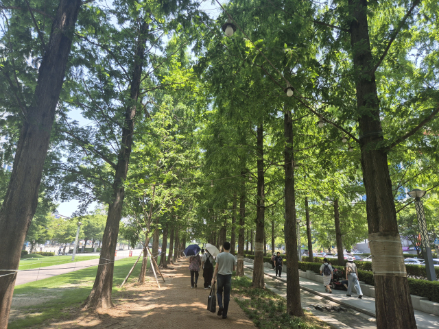 유동 인구가 많은 부산 부산진구 전포동 송상현광장에서 지난달 29일 한 여성이 흉기로 시민들을 위협한 사건이 뒤늦게 알려졌다. 18일 송상현광장을 거니는 시민들. 김동우 기자 friend@