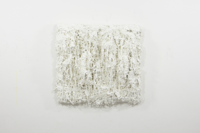 유명균, The History of Forest W2102, 2021. 리앤배 제공