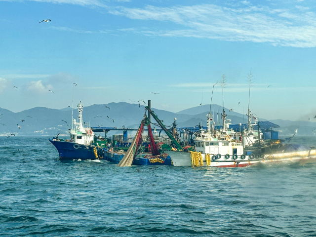 7일 오전 8시 30분께 거제시 외도 남서방 약 2km 해상에서 거제 선적 멸치잡이 기선권현망 선단 외국인 선원이 바다로 추락해 해양경찰이 수색 작업을 벌이고 있다. 통영해양경찰서 제공