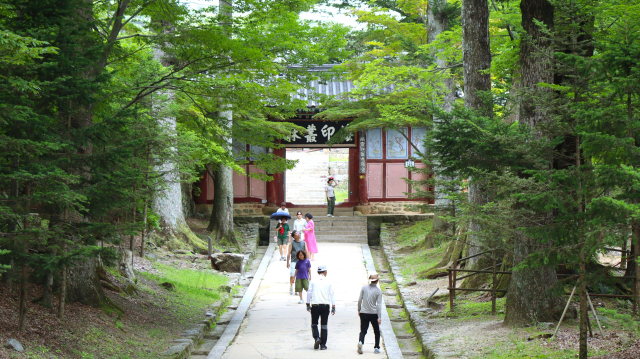 경남 합천군 해인사를 찾은 관람객들이 봉황문 앞 숲길에서 초가을 바람을 느끼고 있다. 남태우 기자