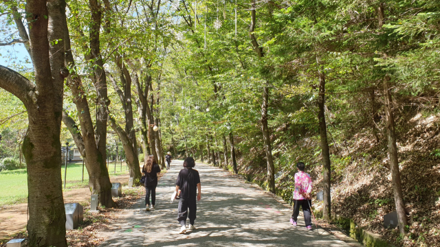 전북 진안군 여행객들이 시원한 숲길을 따라 마이산 탑사로 올라가고 있다. 남태우 기자