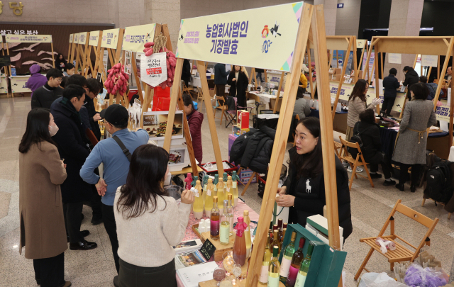1월 23일 부산시청 1층 로비에서 ‘2025년 사회적 경제제품 특별판매전(플리마켓)’이 열렸다. 이 행사에는 사회적경제 기업들이 참여해 건어물과 수제비누 등 다양한 먹거리와 친환경 자원재활용 제품을 선보였다. 부산일보DB