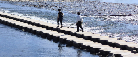 밀양강 따라 절벽 잔도, <br />11월엔 황금빛 은행나무 금시당