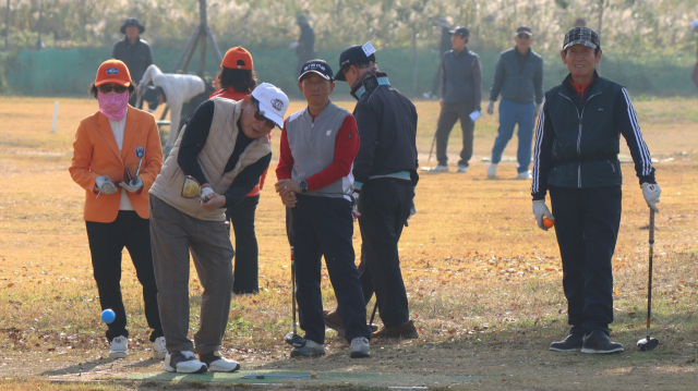 14일 제2회 부산일보 파크골프 본선에 오른 남성 선수들이 차례로 티샷을 하고 있다. 남태우 기자