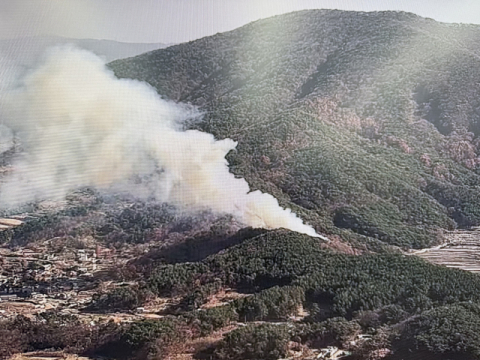 울산 울주군 산불 진화 완료··· 인명피해 없어