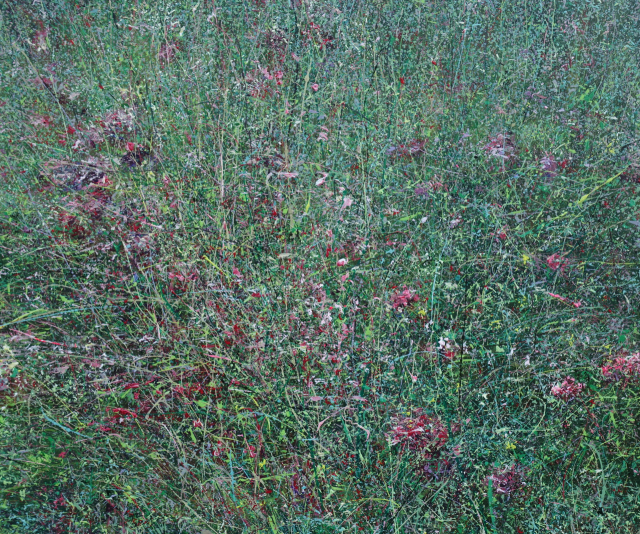 주한경, Melody-1014, 2025. 뮤즈세움 제공