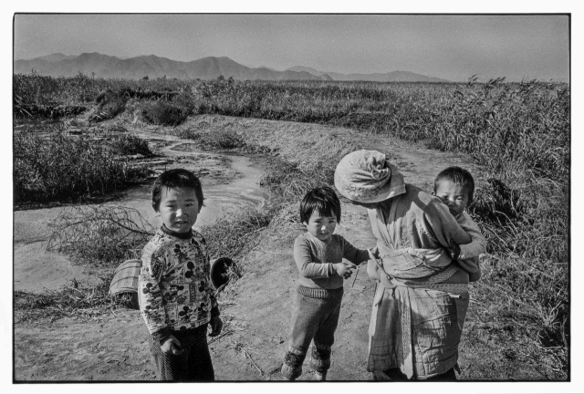 강운구, 경상남도 김해군 사하 을숙도(부산시 사하구 하단동), 1976. ©강운구, 고은사진미술관 제공