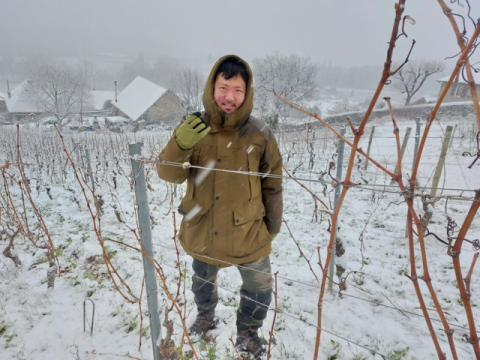 하석환 씨가 겨울을 맞아 포도나무 가지치기를 하고 있다.