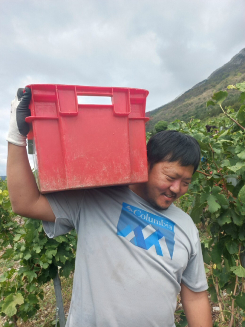 프랑스 시골에서 농사 짓는 한국인 소믈리에